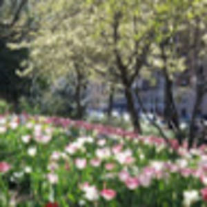 Meet your Posher, Emma